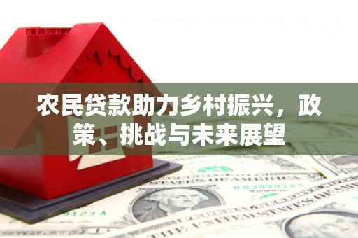 共和农民贷款助力乡村振兴，政策、挑战与未来展望