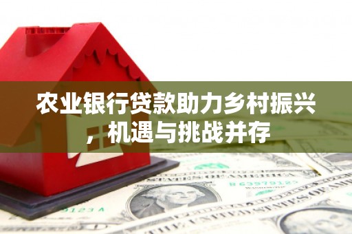 共和农业银行贷款助力乡村振兴，机遇与挑战并存