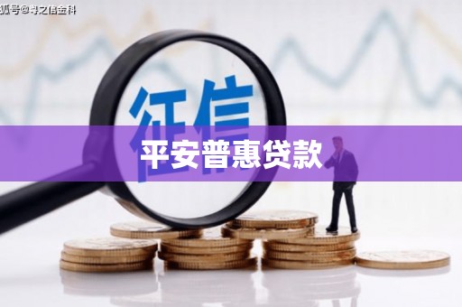 共和平安普惠贷款