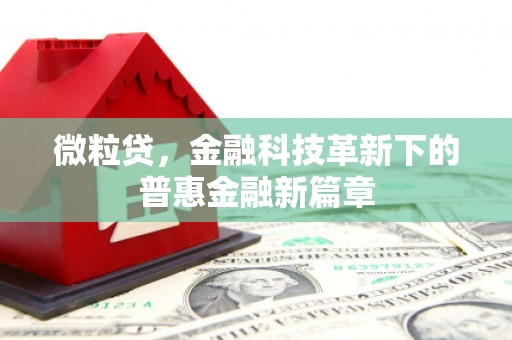 共和微粒贷，金融科技革新下的普惠金融新篇章