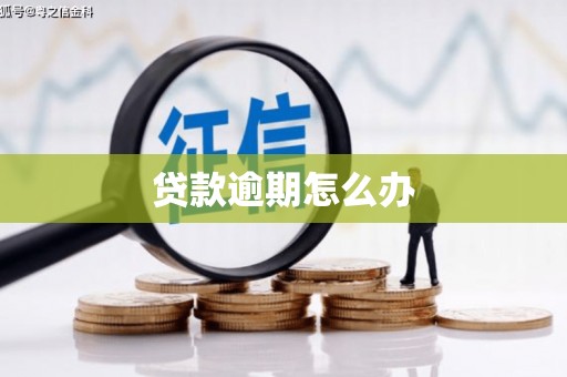 共和贷款逾期怎么办