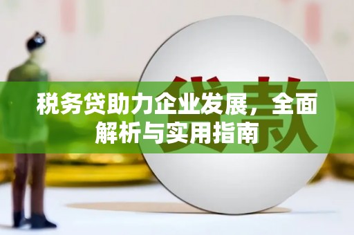 共和税务贷助力企业发展，全面解析与实用指南
