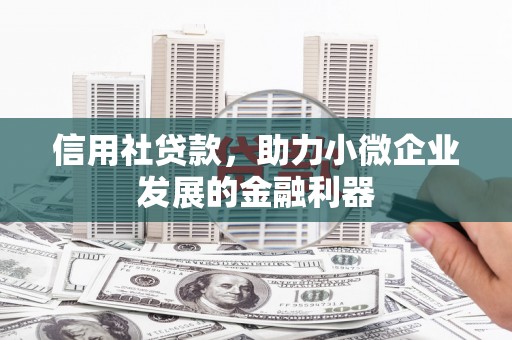 共和信用社贷款，助力小微企业发展的金融利器