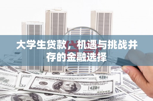共和大学生贷款，机遇与挑战并存的金融选择