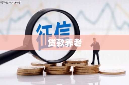 共和贷款养老