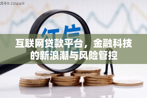 共和互联网贷款平台，金融科技的新浪潮与风险管控