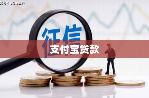 共和支付宝贷款