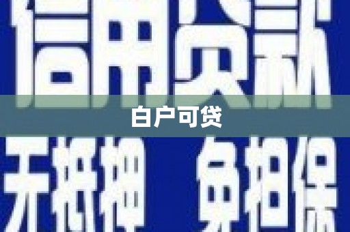 共和白户可贷