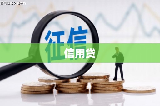 共和信用贷