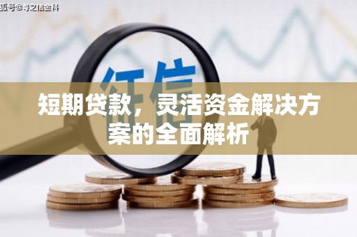 共和短期贷款，灵活资金解决方案的全面解析
