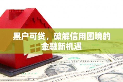 共和黑户可贷，破解信用困境的金融新机遇