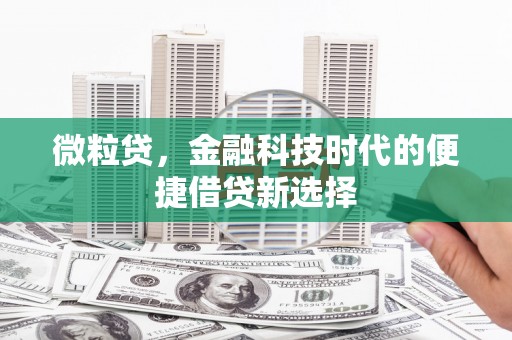 共和微粒贷，金融科技时代的便捷借贷新选择