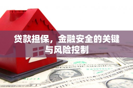 共和贷款担保，金融安全的关键与风险控制