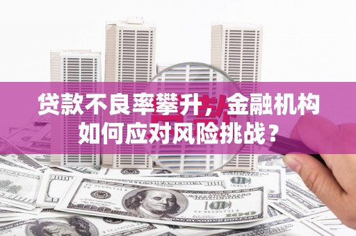 共和贷款不良率攀升，金融机构如何应对风险挑战？