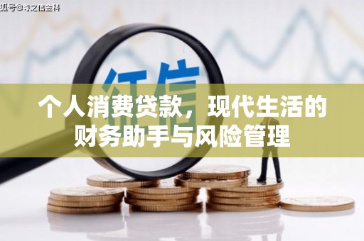 共和个人消费贷款，现代生活的财务助手与风险管理