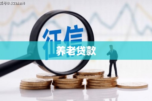 共和养老贷款