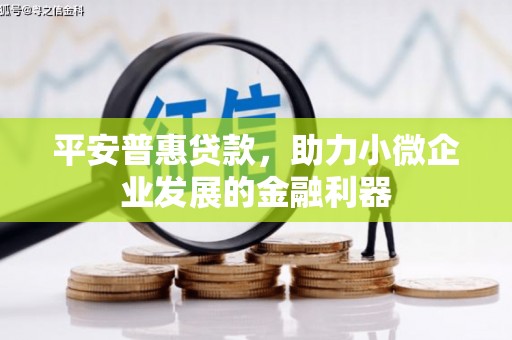 共和平安普惠贷款，助力小微企业发展的金融利器