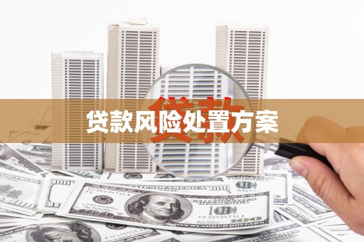 共和贷款风险处置方案