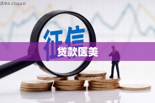 共和贷款医美