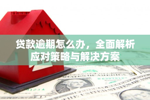 共和贷款逾期怎么办，全面解析应对策略与解决方案