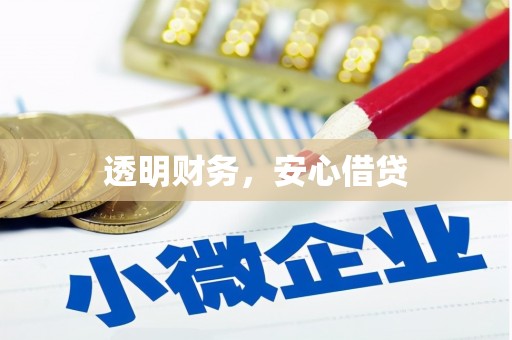 共和透明财务，安心借贷