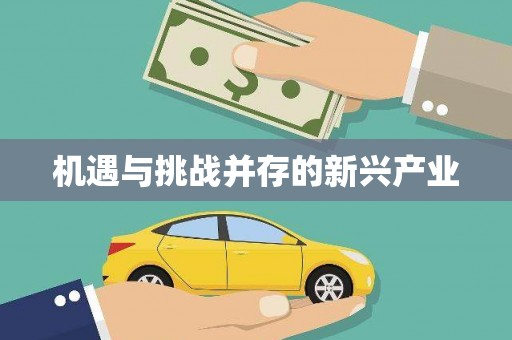 共和机遇与挑战并存的新兴产业