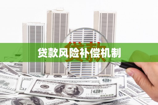 共和贷款风险补偿机制