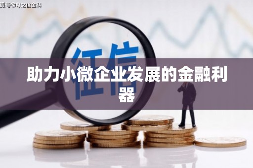 共和助力小微企业发展的金融利器