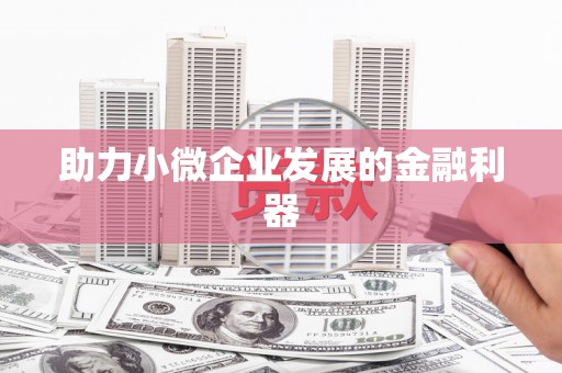 共和助力小微企业发展的金融利器