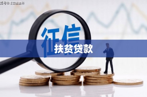 共和扶贫贷款
