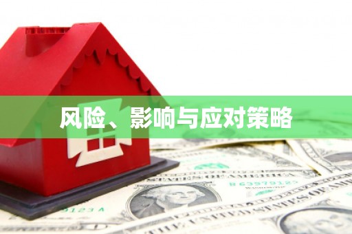 共和风险、影响与应对策略
