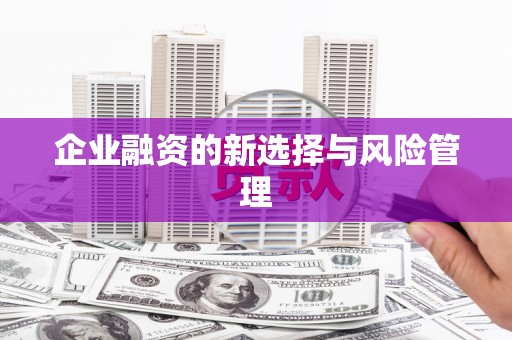 共和企业融资的新选择与风险管理