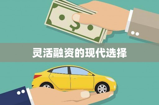 共和灵活融资的现代选择