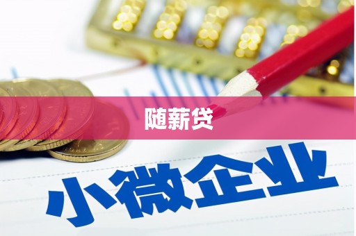 共和随薪贷