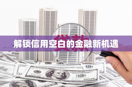 共和解锁信用空白的金融新机遇