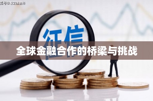 共和全球金融合作的桥梁与挑战
