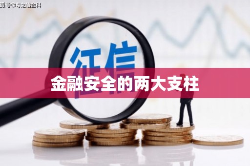 共和金融安全的两大支柱