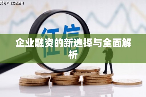 共和企业融资的新选择与全面解析