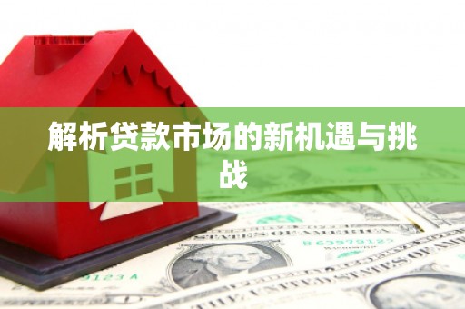 共和解析贷款市场的新机遇与挑战