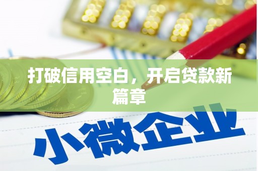 共和打破信用空白，开启贷款新篇章