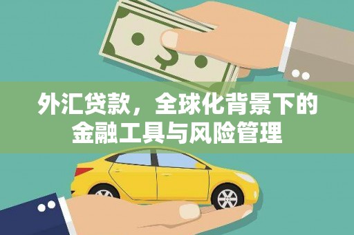 共和外汇贷款，全球化背景下的金融工具与风险管理