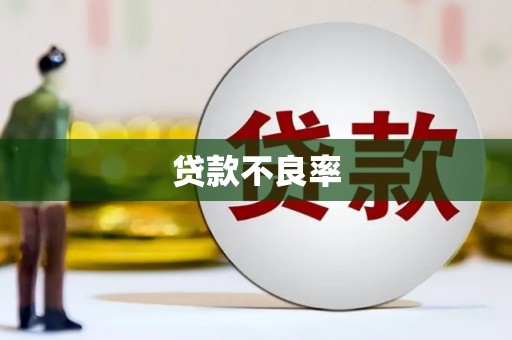 共和贷款不良率