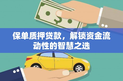 共和保单质押贷款，解锁资金流动性的智慧之选