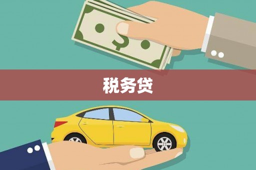 共和税务贷